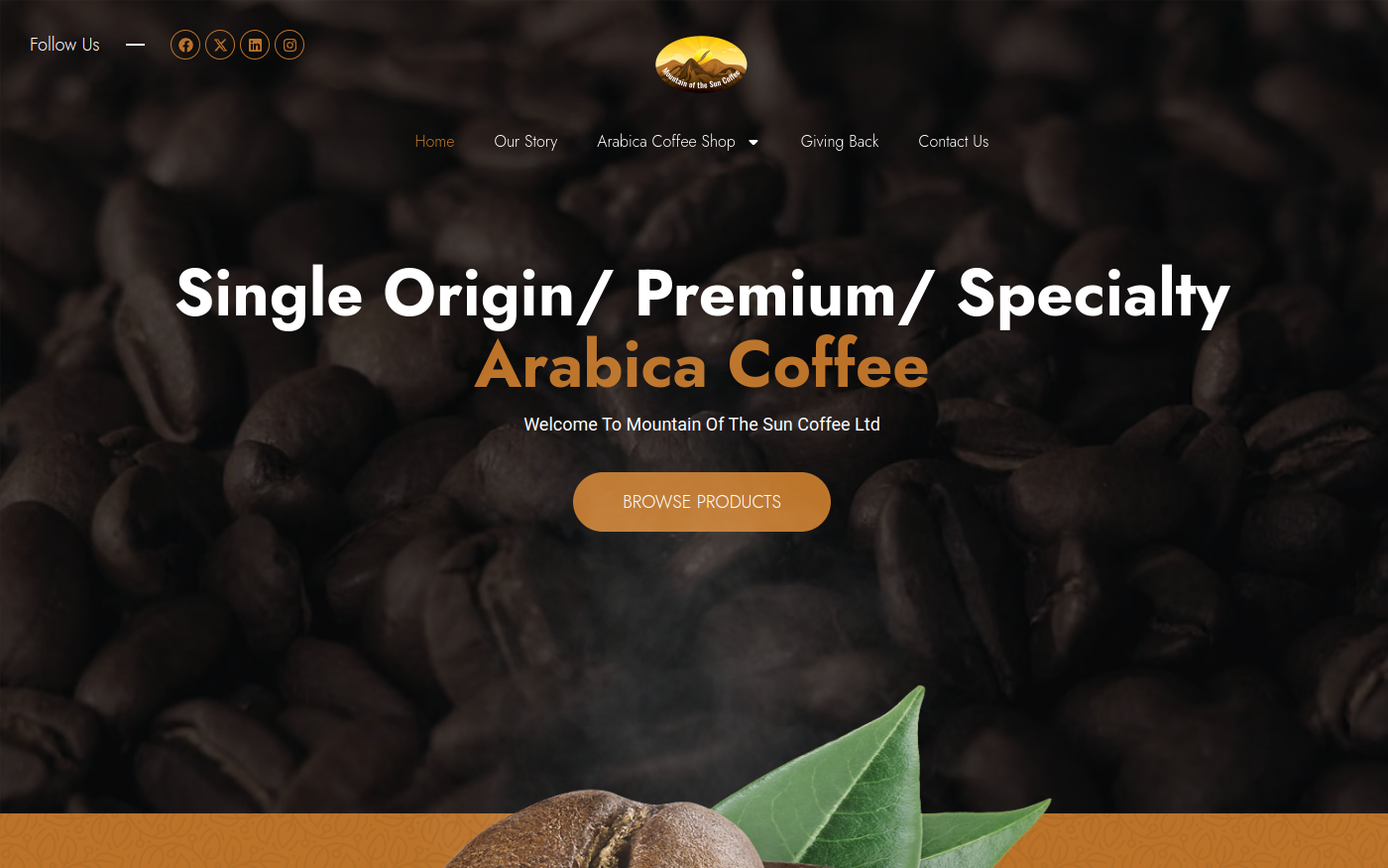 Preview of Mtsun Coffee
