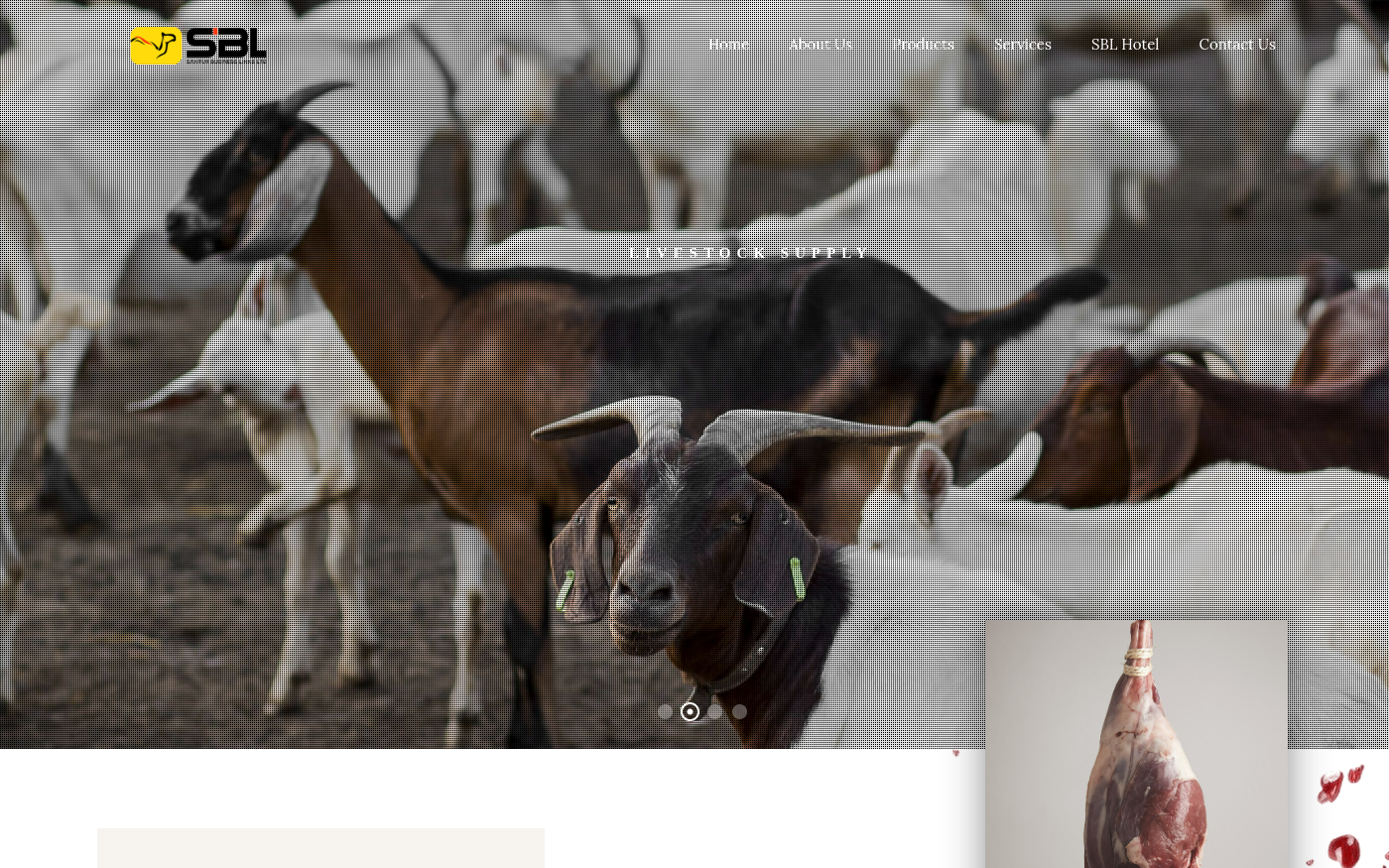 Preview of Santur Business Link